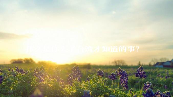 什么是你去了台湾才知道的事？