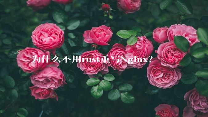 为什么不用rust重写Nginx？