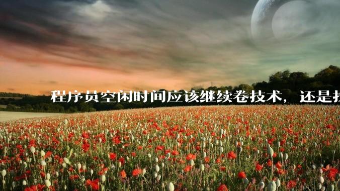 程序员空闲时间应该继续卷技术，还是找其他副业？