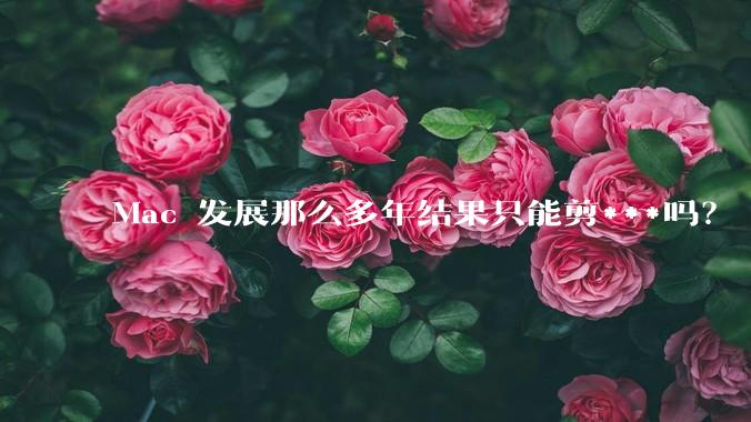 Mac 发展那么多年结果只能剪***吗？