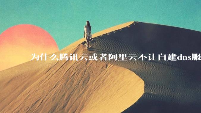 为什么腾讯云或者阿里云不让自建dns服务器?